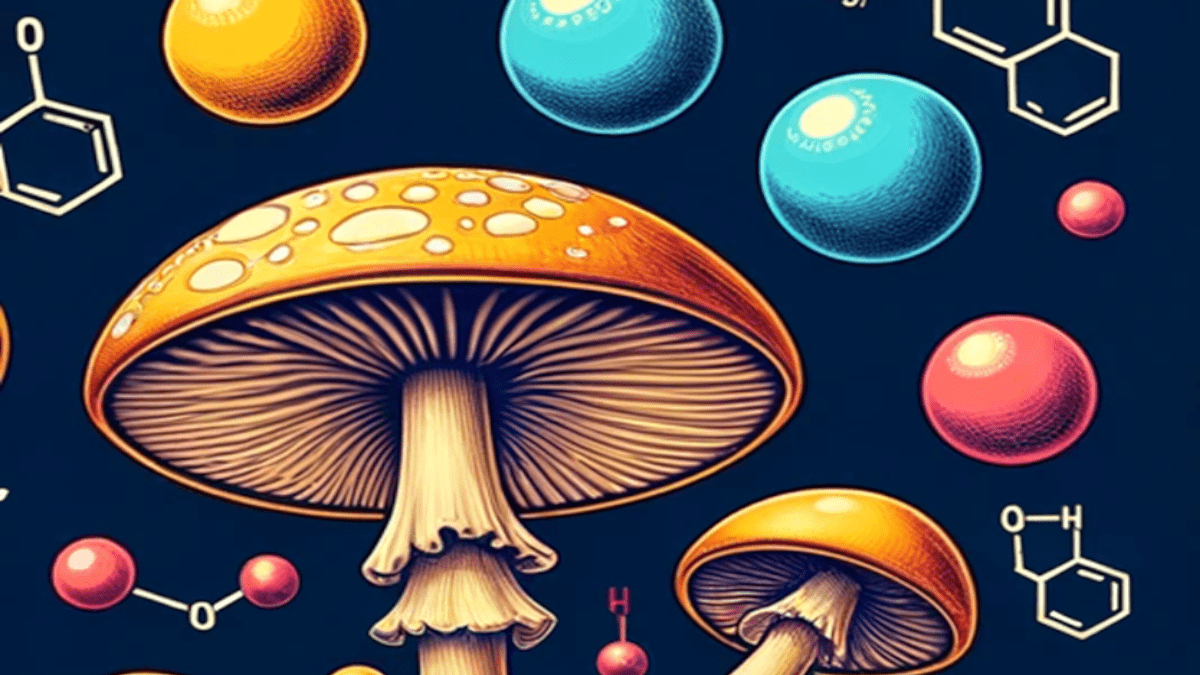 die Substanzen Psilocybin und Psilocin