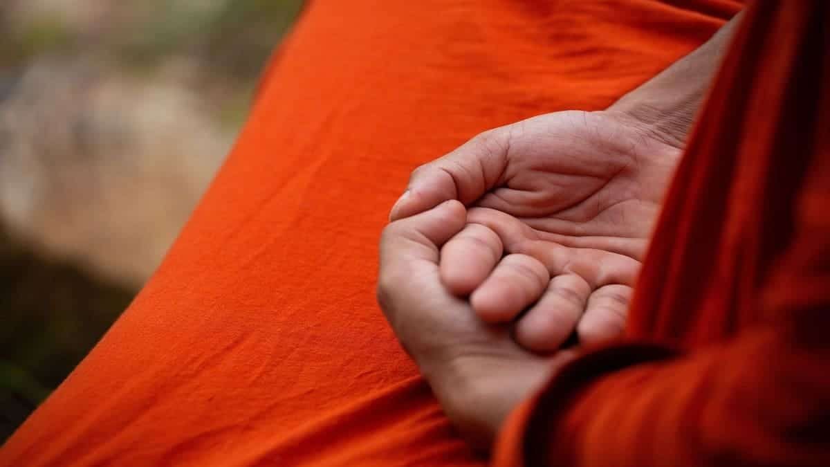 Practici de meditație profundă cu psihedelice | Paddo.shop